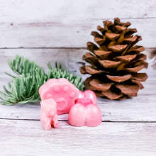 Load image into Gallery viewer, Pet Safe Soy wax melts (tarts) made with essential oils that smell just like a candy cane!