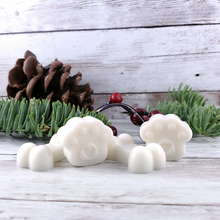 Load image into Gallery viewer, Pet Safe Soy wax melts (tarts) that fill your home with an orange and clove aroma.